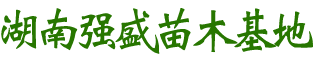 益陽(yáng)市資陽(yáng)區(qū)強(qiáng)盛苗木基地_益陽(yáng)香樟|益陽(yáng)桂花|廣玉蘭哪里的好